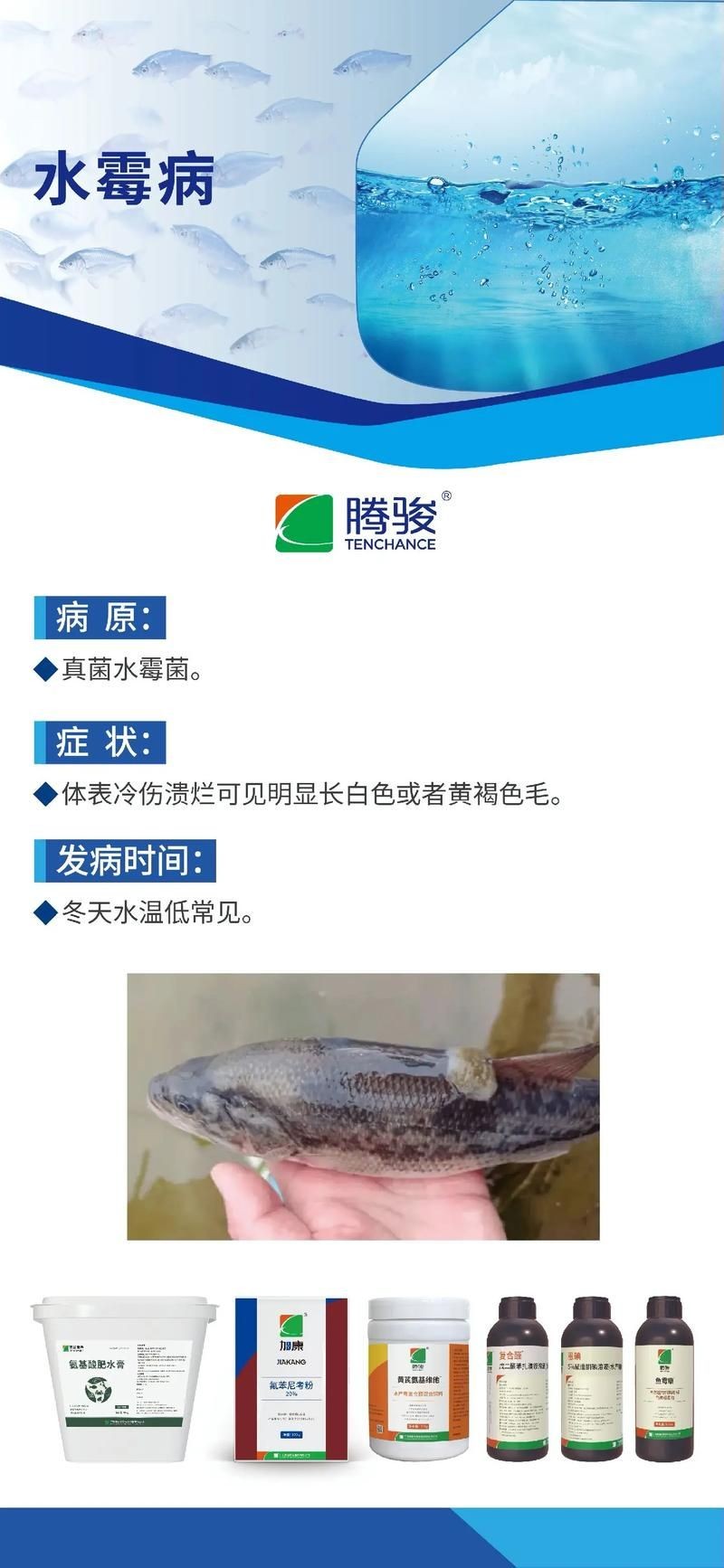 滕州市龍陽有漁水族館（滕州市龍陽有漁水族館經營產品：花卉、金魚、魚缸（依法須經批準的項目））