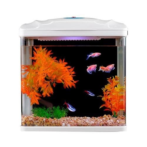 家庭小型魚缸圖片 家庭小型魚缸圖片 龍魚論壇 第12張