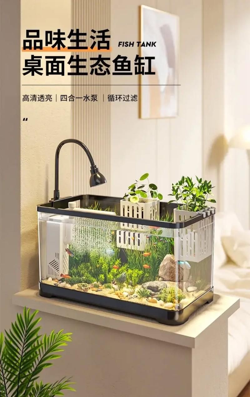 家庭小型魚缸圖片 家庭小型魚缸圖片 龍魚論壇 第5張