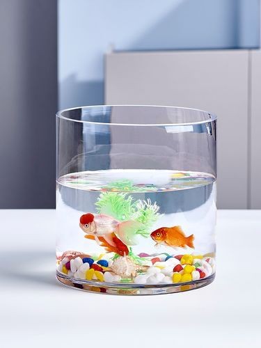 家庭小型魚缸圖片 家庭小型魚缸圖片 龍魚論壇 第4張