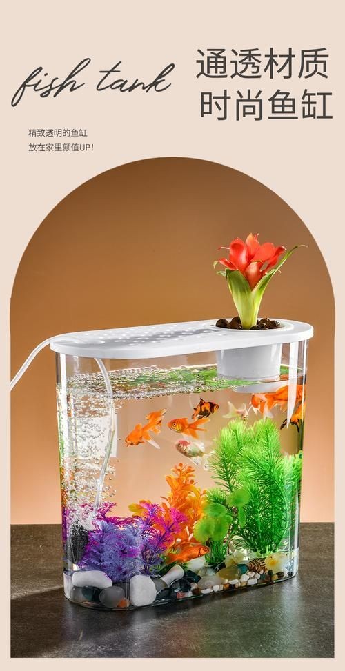 家庭小型魚缸圖片 家庭小型魚缸圖片 龍魚論壇 第1張
