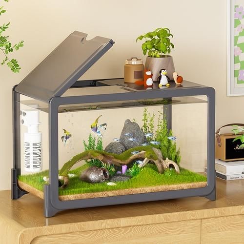 家庭小型魚缸圖片 家庭小型魚缸圖片 龍魚論壇 第24張