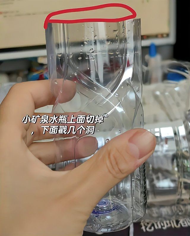 家庭小型魚缸圖片 家庭小型魚缸圖片 龍魚論壇 第28張