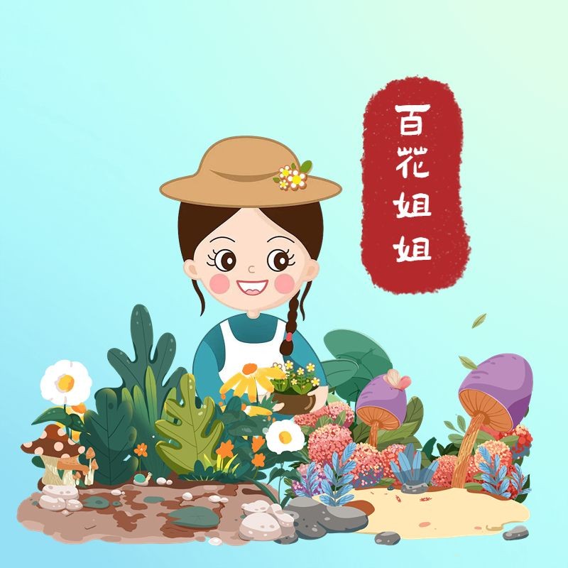 家庭小型魚缸圖片 家庭小型魚缸圖片 龍魚論壇 第31張