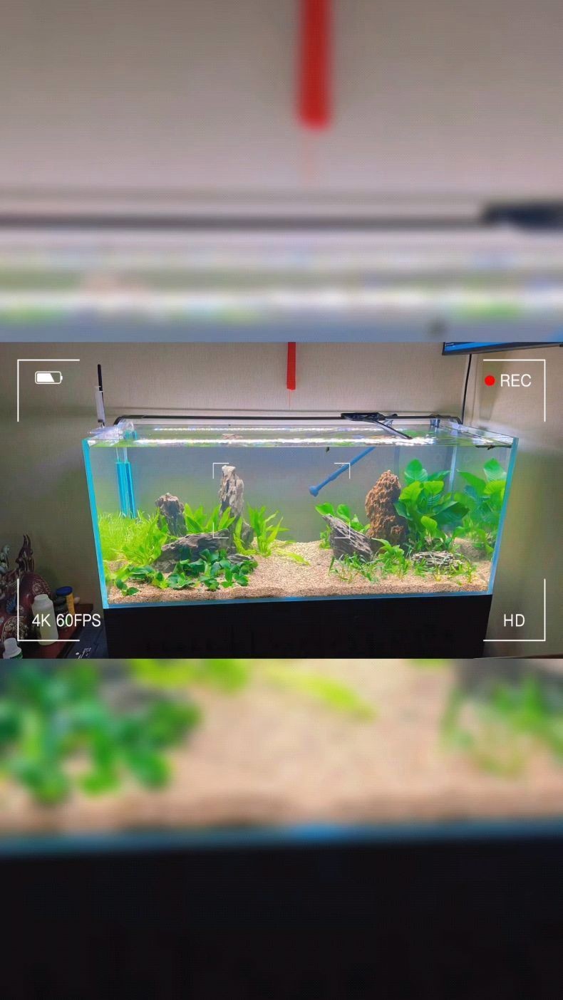 北京魚缸定做