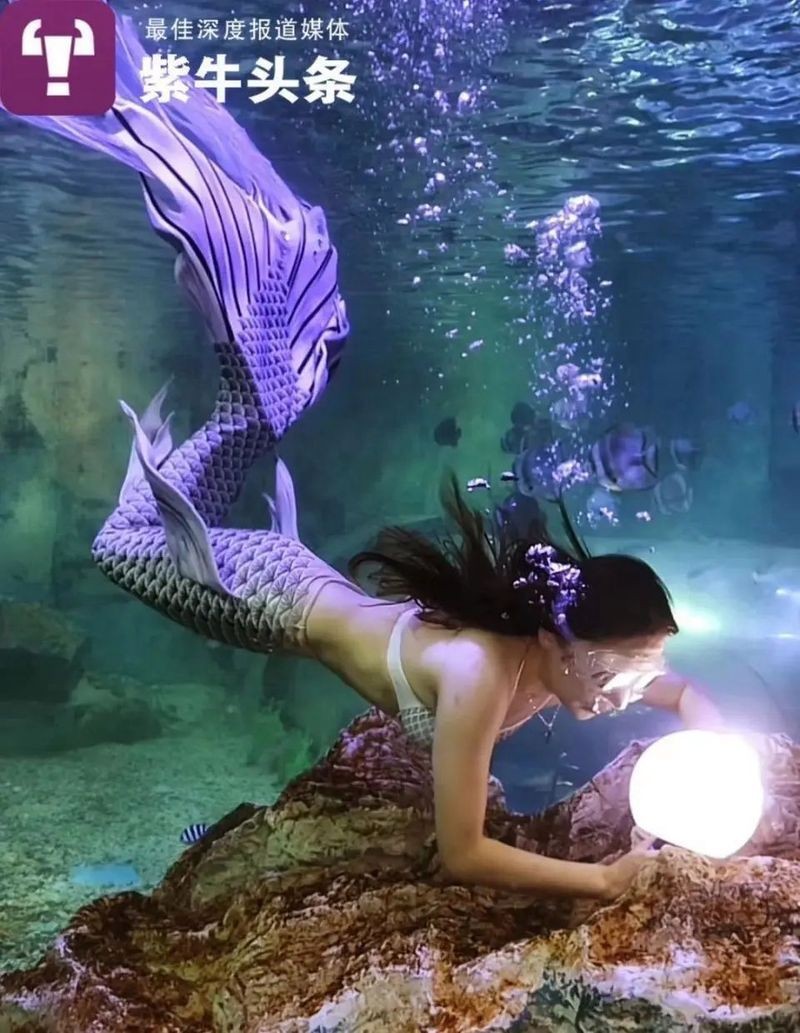 號(hào)半龍魚咬人后圖片