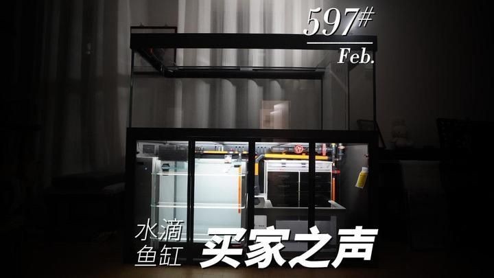和興龍魚屬于什么檔次