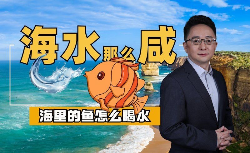 海水有鹽為什么魚不死