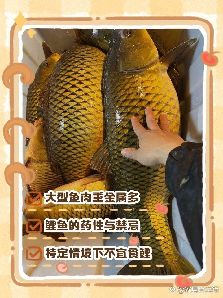 廣西三角鯉為何禁吃
