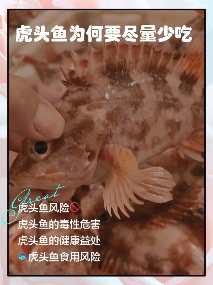 河老虎魚為啥不建議吃