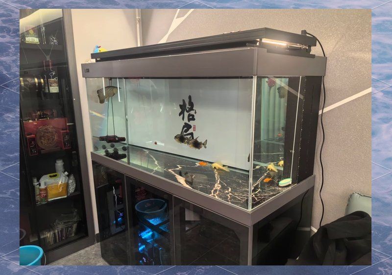 九鼎魚缸價格表2025