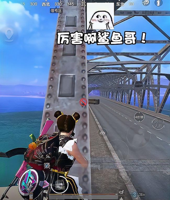 和平精英鯊魚的女朋友