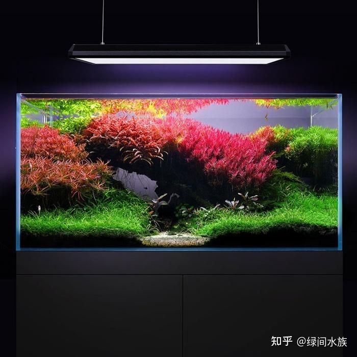 吉印ied水草燈能養草嗎 吉印ied水草燈能養草嗎 龍魚論壇 第6張