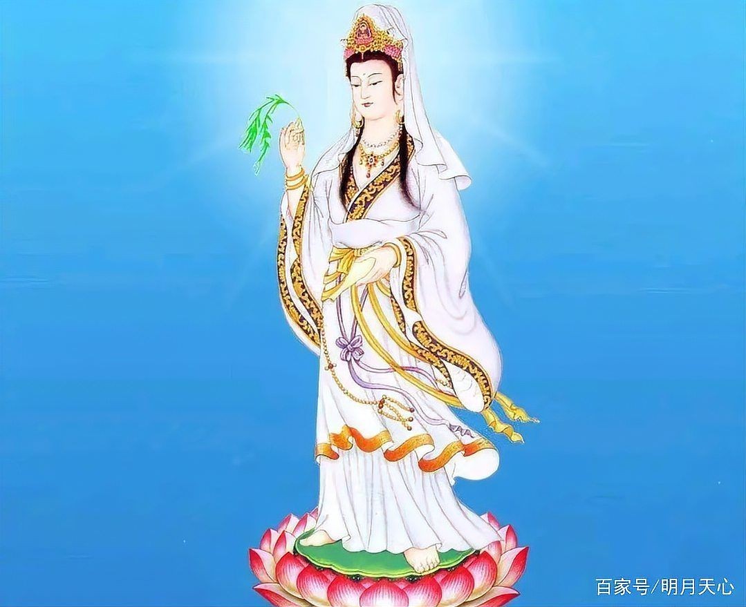 吉印燈養水草最忌三種水果