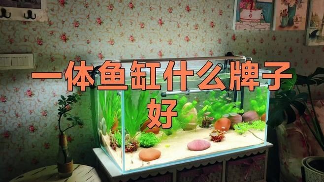 什么魚(yú)缸品牌質(zhì)量好