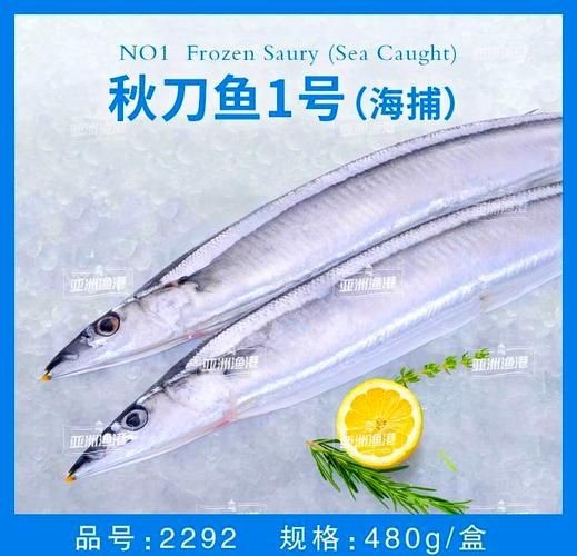 海刀魚圖片