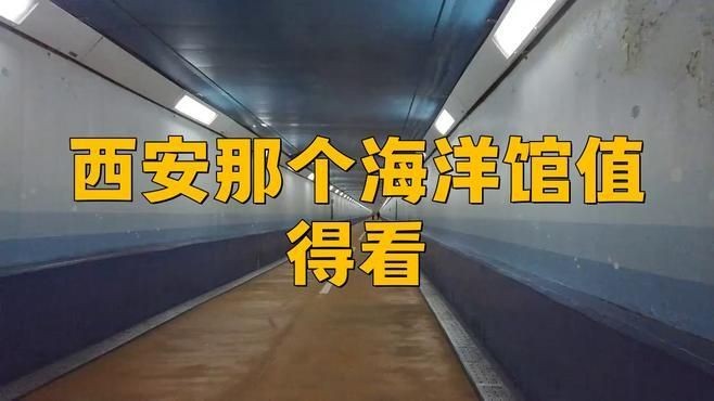 海洋館哪里的最大最好玩