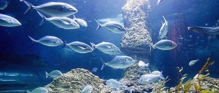十堰水族館