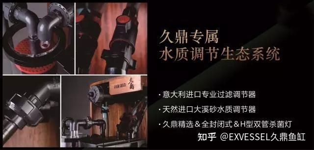 久鼎魚缸用戶評價優缺點