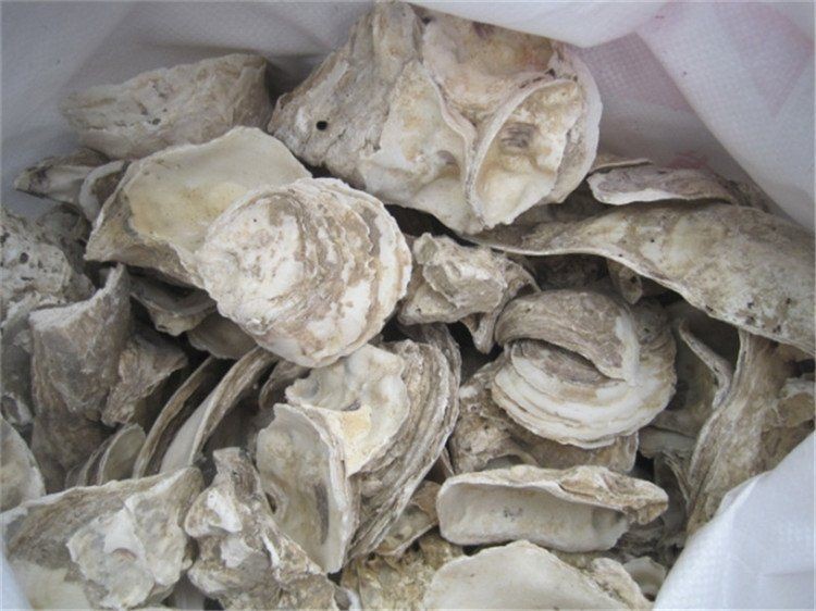 河里的天然濾材