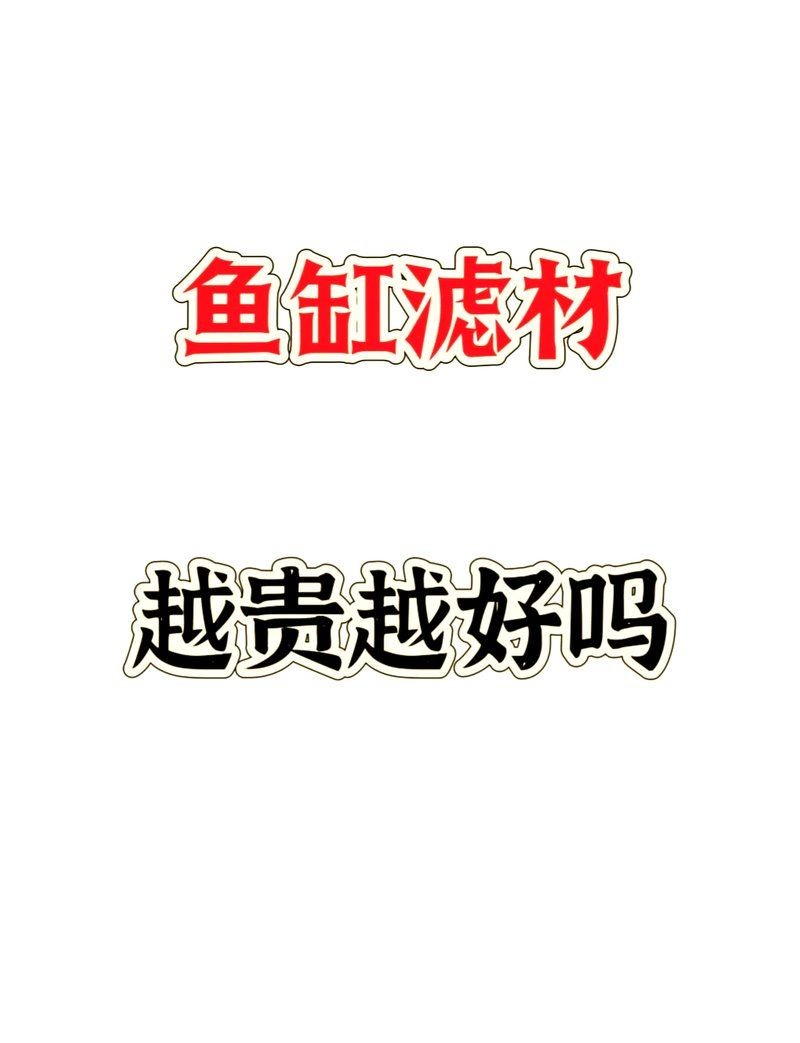 河里的天然濾材