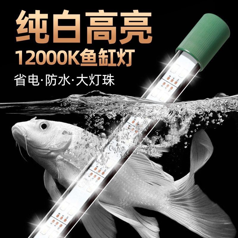 吉印水族最著名的三個姓氏 吉印水族最著名的三個姓氏 龍魚論壇 第4張