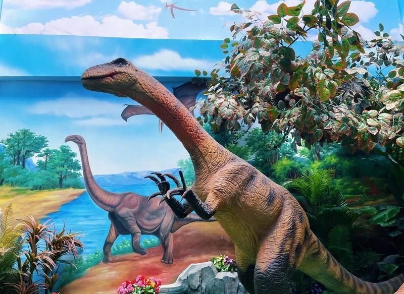 烏魯木齊水族店