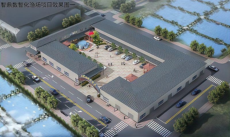 廣東養殖忘不了魚李婉華