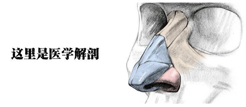 真菌細菌區分口訣