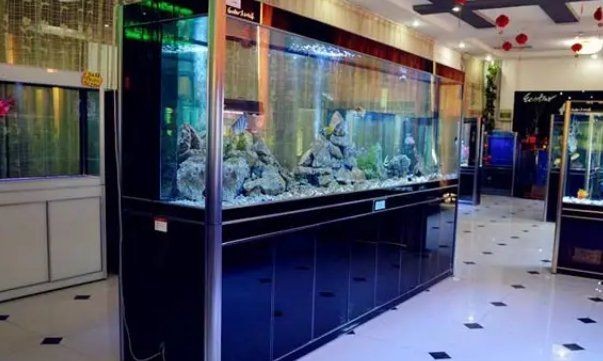 回收魚缸上門電話 回收魚缸上門電話 全國水族館企業名錄 第4張