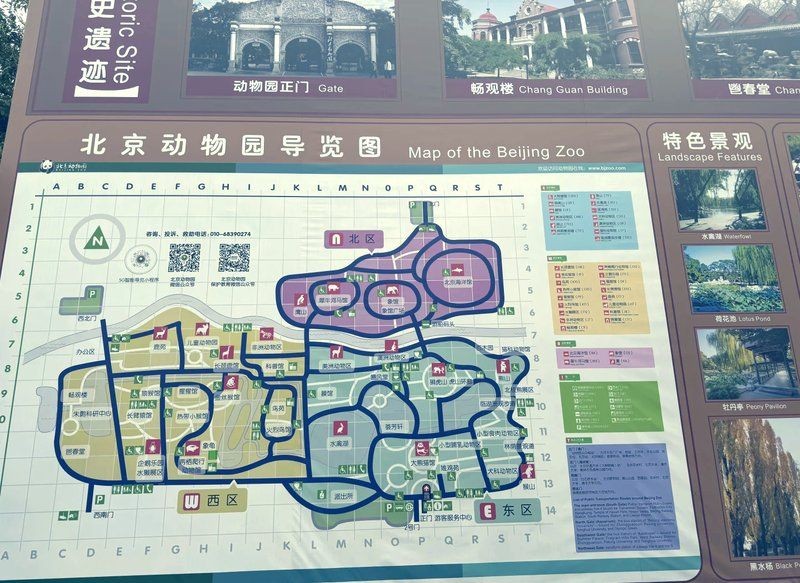 海洋館上午去還是下午去