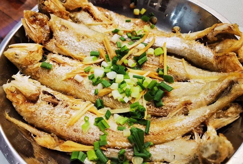 廣東淡水魚種類大全