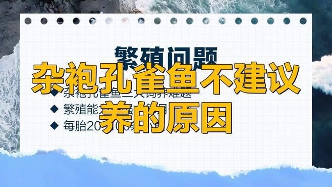 孔雀魚為什么不建議養(yǎng)