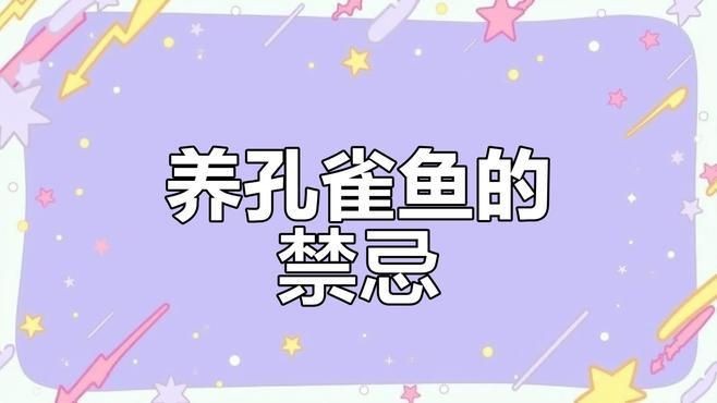 孔雀魚為什么不建議養(yǎng)