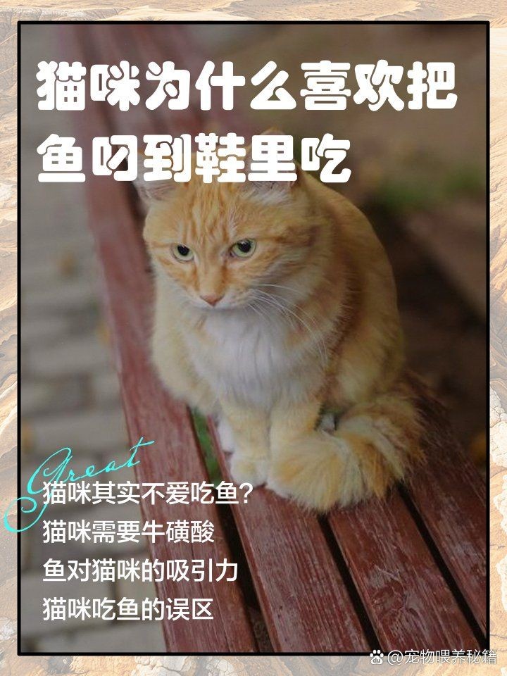 家里養金魚被貓偷吃了