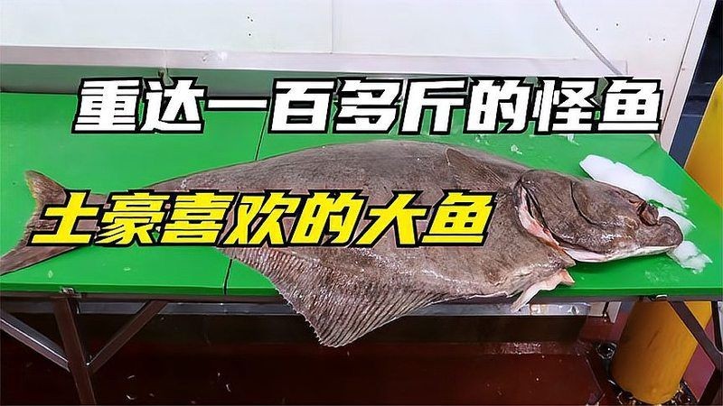 哥倫比亞巨暴魚價格