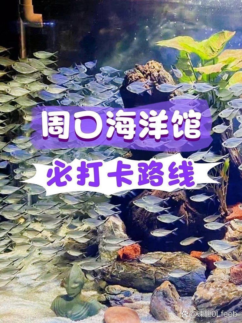 周口水族館