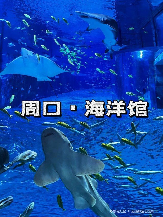 周口水族館