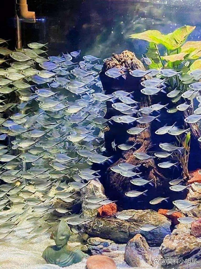 周口水族館