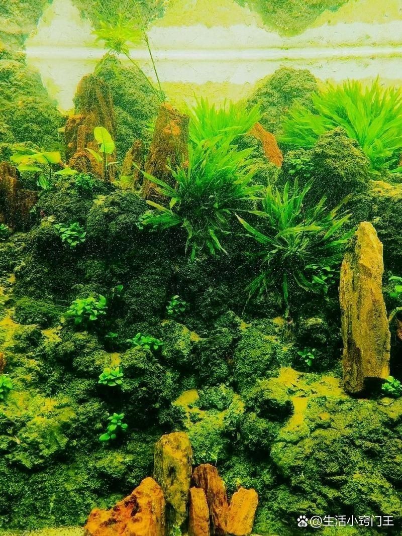 周口水族館