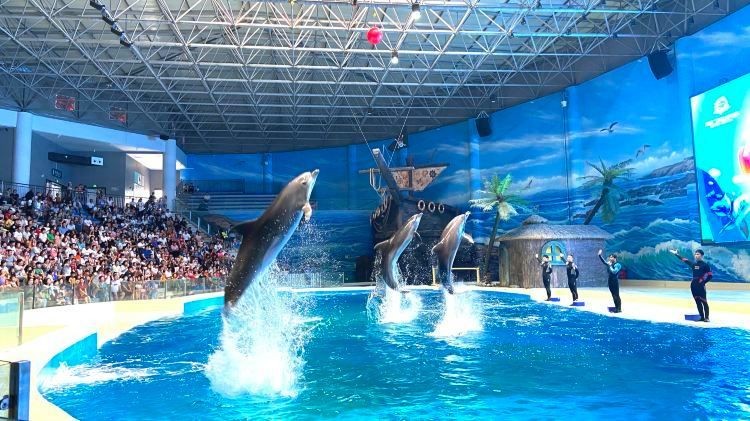 周口水族館