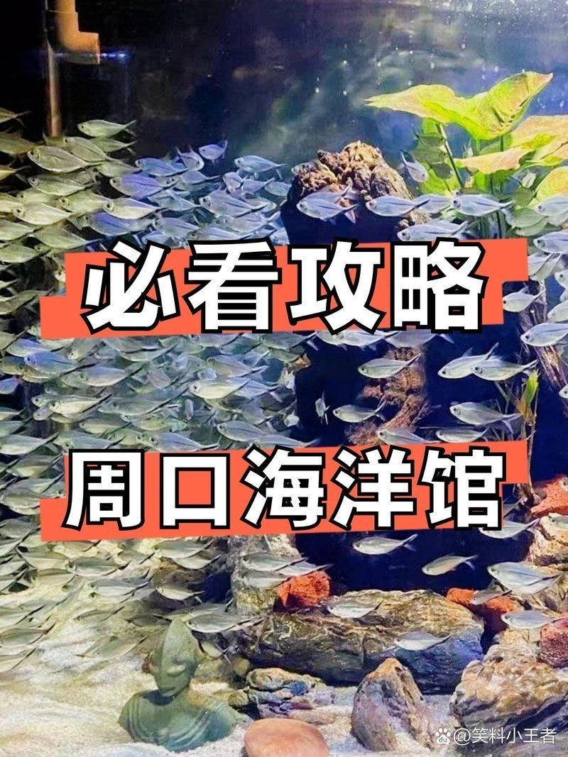 <strong><mark>周口</mark></strong>水族館