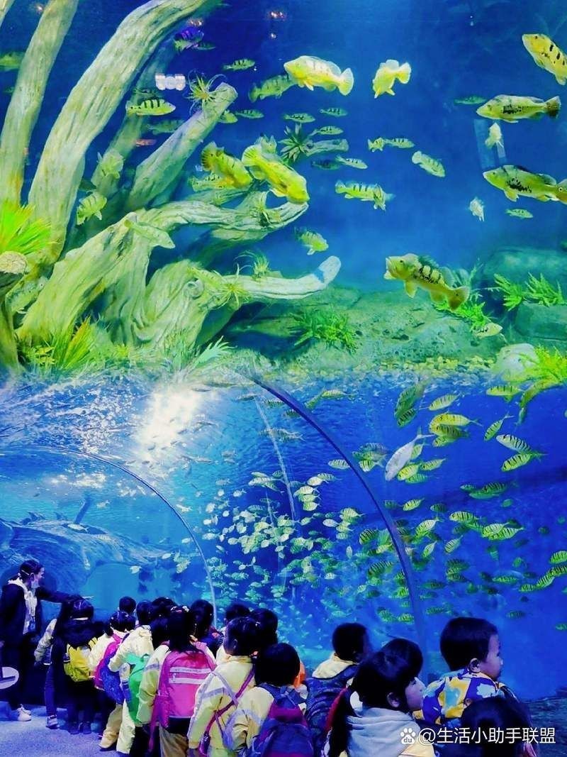 周口水族館