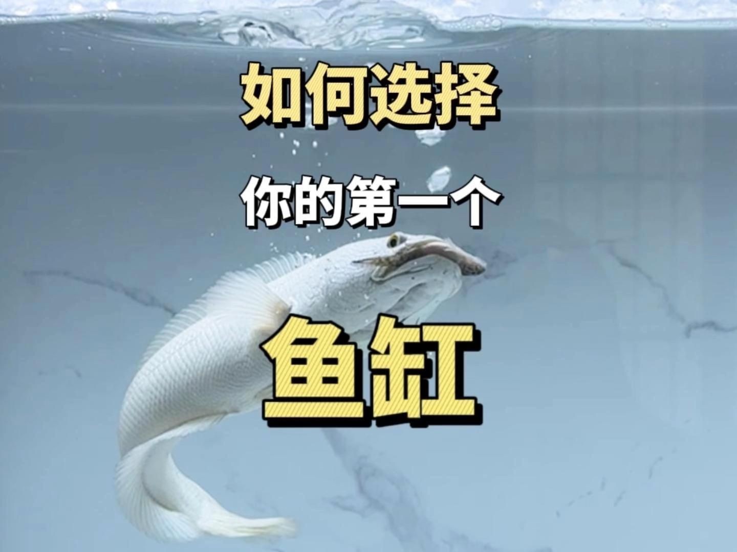 家庭用什么魚缸最好