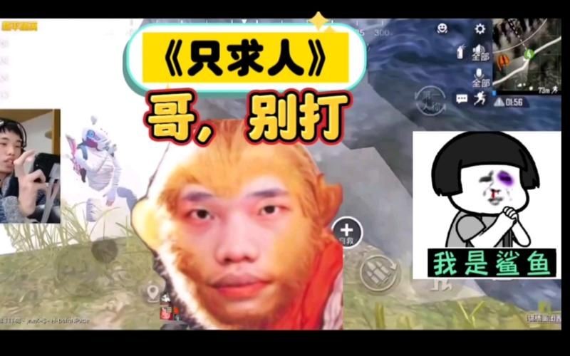 和平精英鯊魚圖片