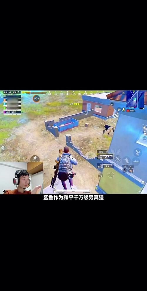 和平精英鯊魚圖片