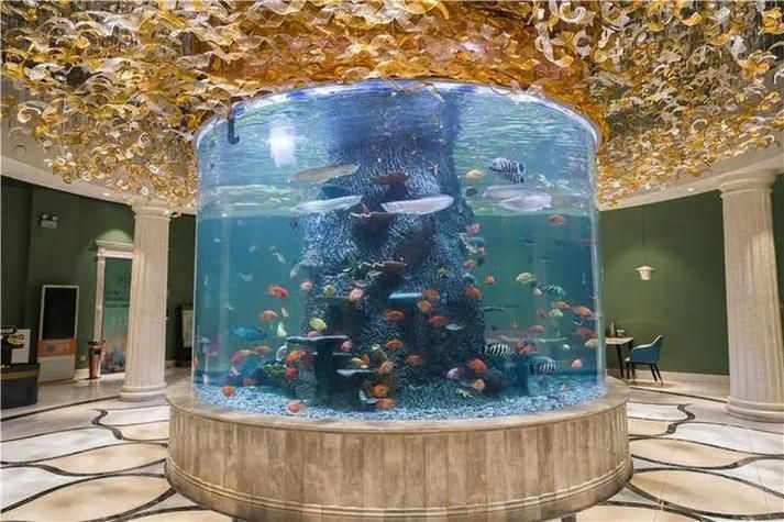 塔城魚缸維護
