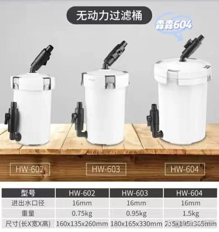 吳忠魚缸維護