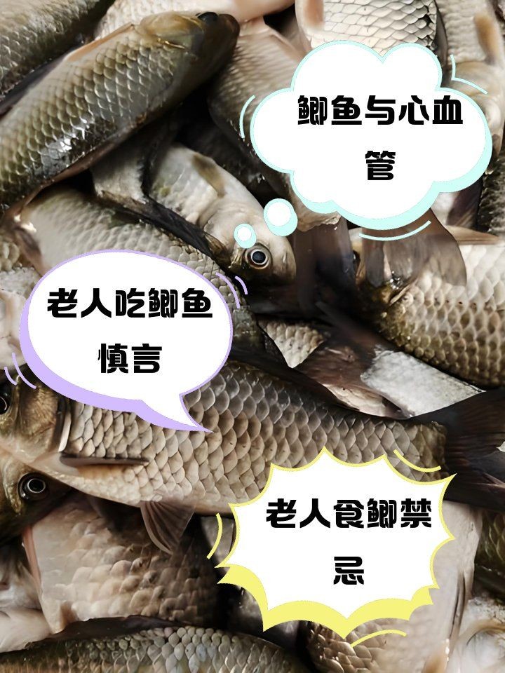 海南三角鯽為何要少吃