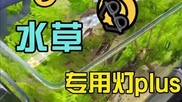吉印水草燈led全光譜
